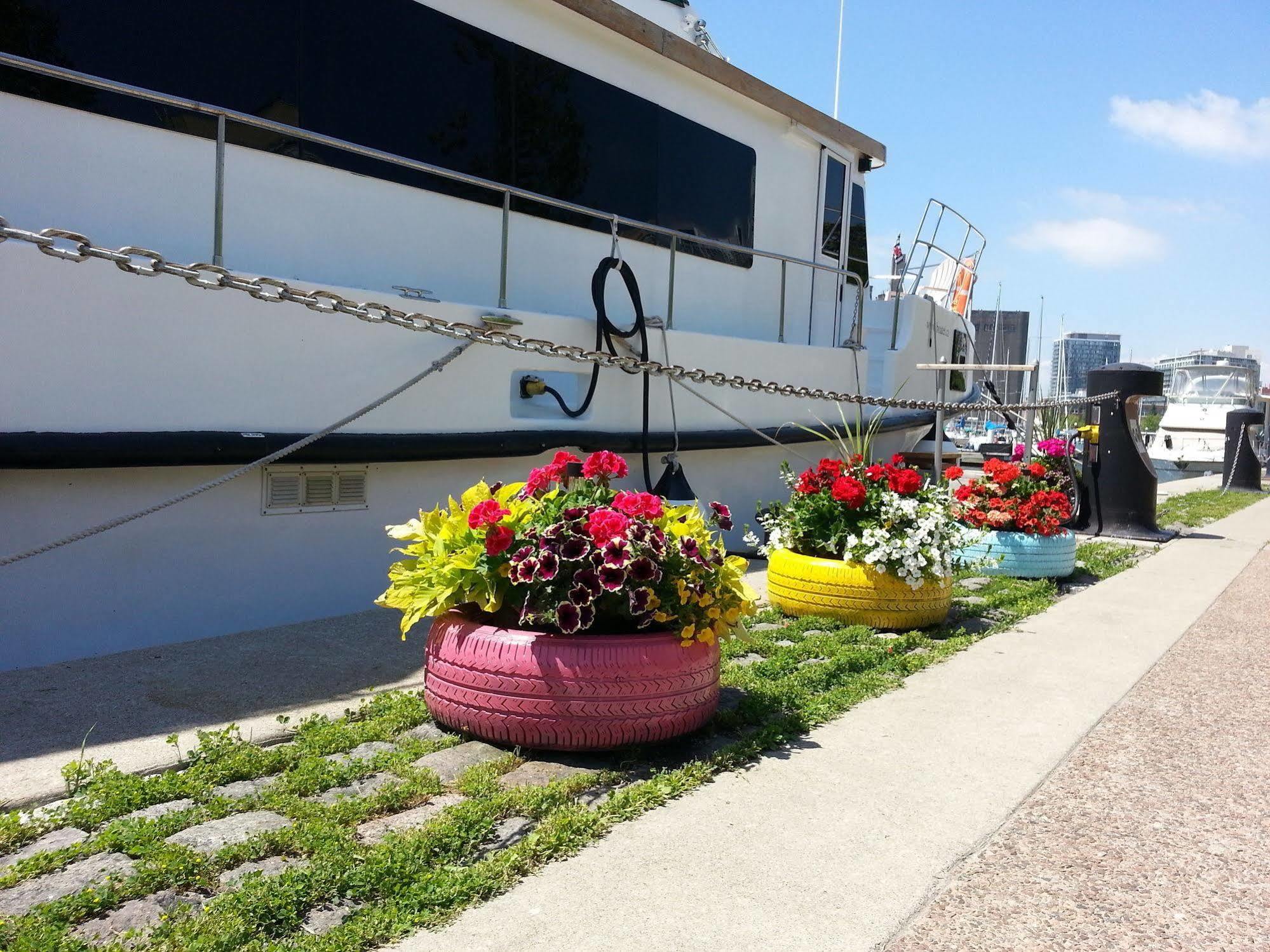 Bed and Breakfast Making Waves Boatel Торонто Экстерьер фото